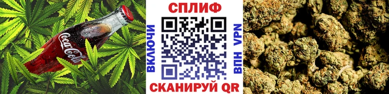 продажа наркотиков  Щёлково  Еда ТГК конопля 