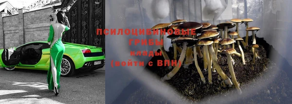 твердый Абаза